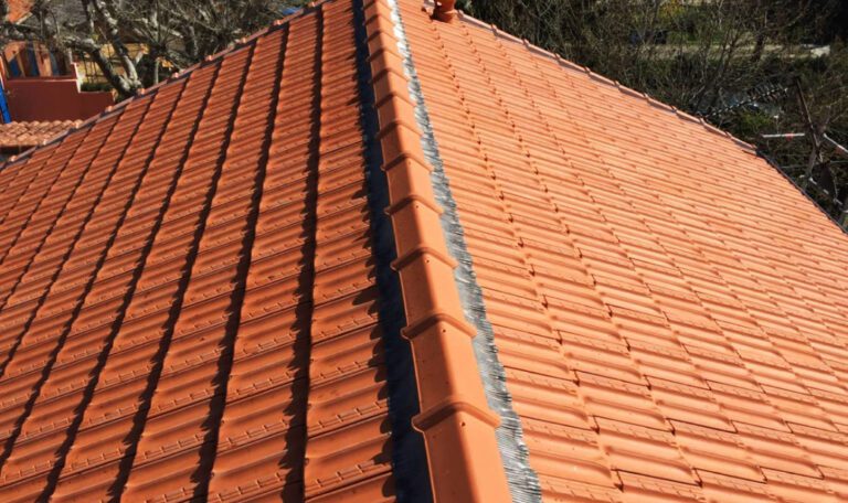 nettoyage-tuiles-demoussage-sl-couverture-lyon